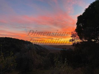 Terreno agricolo in Vendita a Riparbella, 100'000€, 20 m²