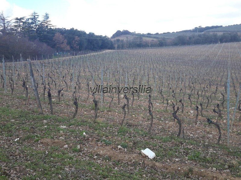 Casale in Vendita a Murlo, 4'900'000€, 800 m², arredato, con Box