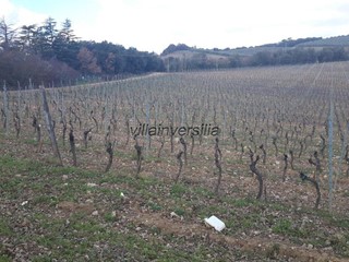 Casale in Vendita a Murlo, 4'900'000€, 800 m², arredato, con Box