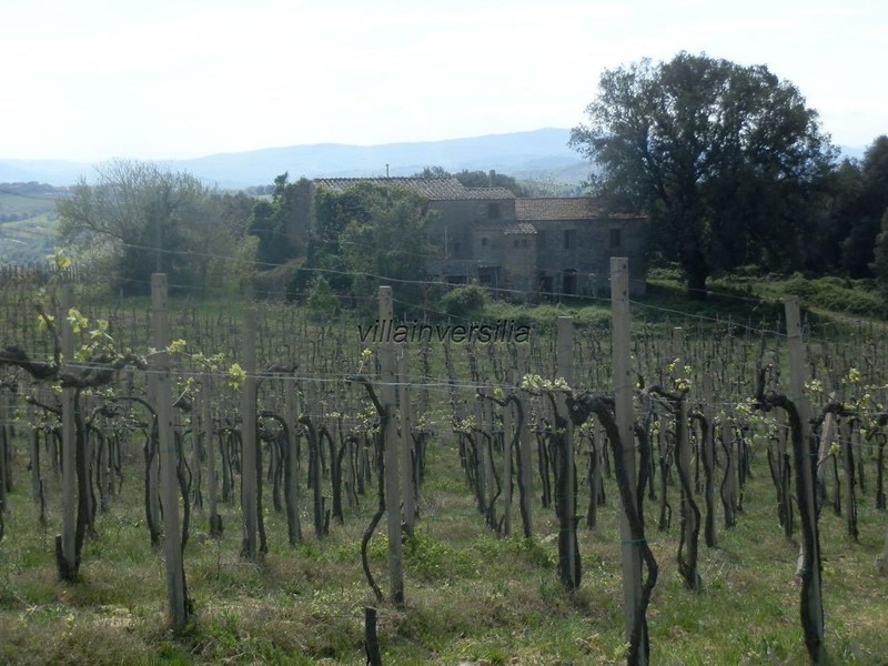 Attività commerciale in Vendita a San Gimignano, 3'500'000€, 2090000 m²