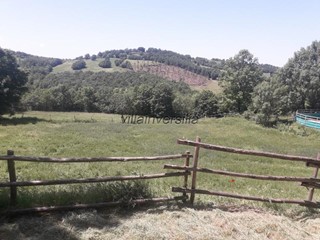 Terreno agricolo in Vendita a Roccalbegna, 1'500'000€, 400000 m²