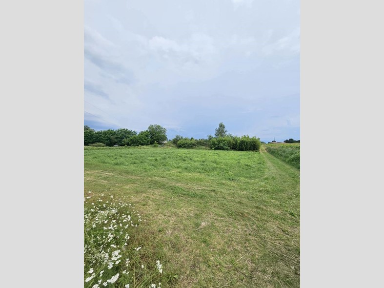 Terreno agricolo in Vendita a Verona, 120'000€, 10500 m²
