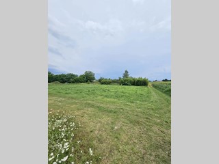 Terreno agricolo in Vendita a Verona, 120'000€, 10500 m²