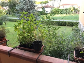 Quadrilocale in Vendita a Camaiore, zona Lido di Camaiore, 280'000&euro;, 70 m²