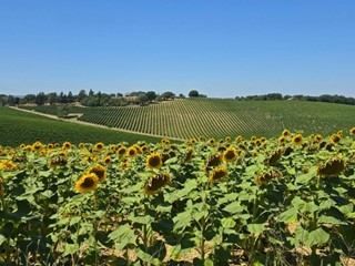 Casa Indipendente in Vendita a Baschi, 630'000&euro;, 400 m²