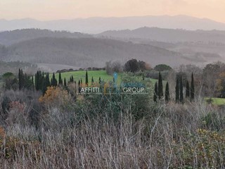 Terreno agricolo in Vendita a Palaia, 155'000€, 168560 m²