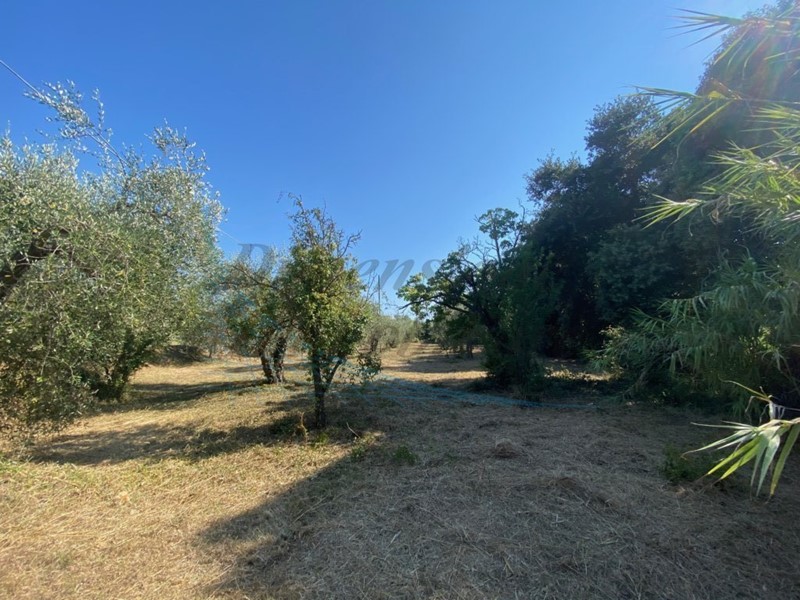 Casa Semi Indipendente in Vendita a Rosignano Marittimo, zona Polveroni, 230'000€, 170 m²