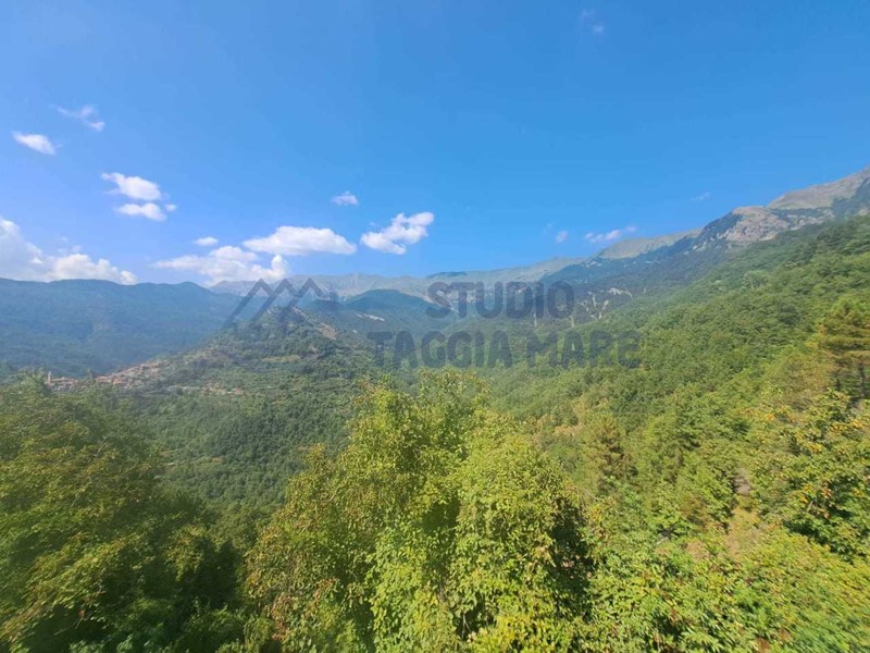 Casa Semi Indipendente in Vendita a Molini di Triora, zona Andagna, 249'000€, 200 m², arredato