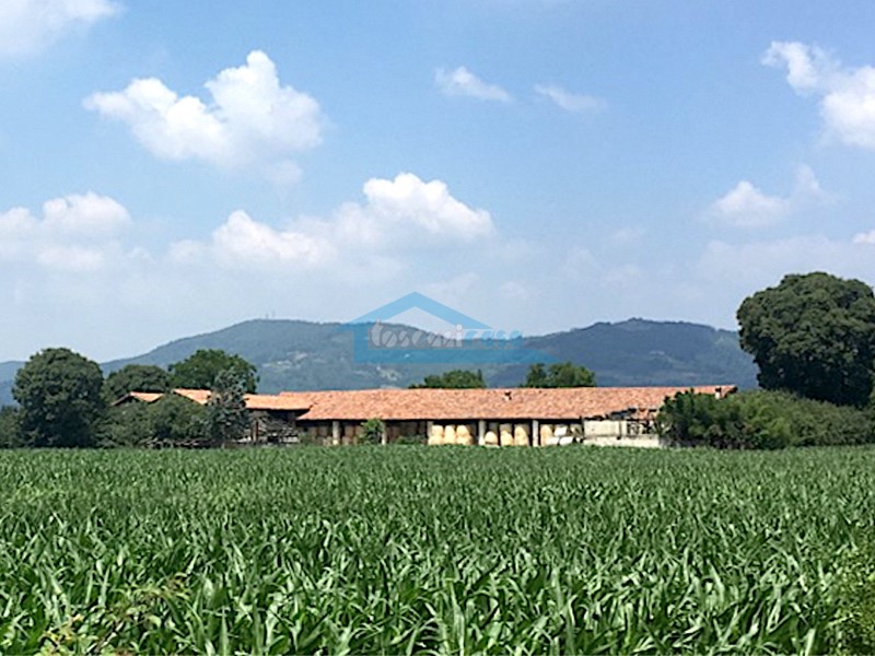 Rustico in Vendita a Palazzolo sull'Oglio, 475'000€, 1750 m²