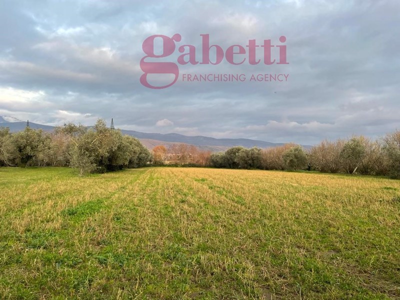 Terreno agricolo in Vendita a Pignataro Maggiore, 90'000€, 4707 m²