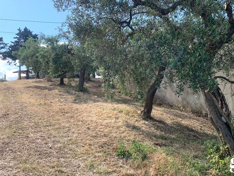 Terreno edificabile in Vendita a Lanciano, 58'000€, 1200 m²