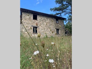 Casale in Vendita a Assisi, 118'000€, 134 m²