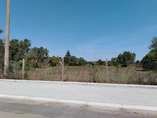 Terreno edificabile in Vendita a Anzio, 59'000€, 10000 m²