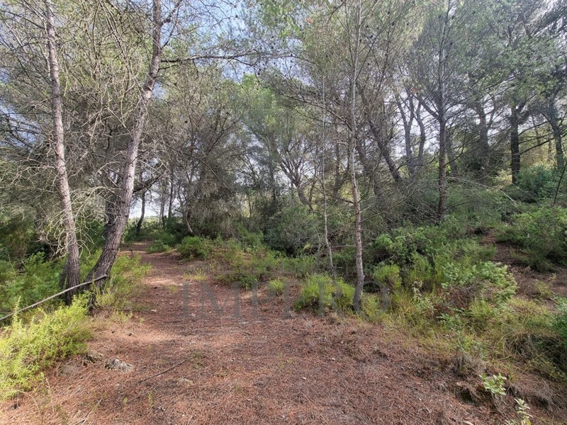 Casa Indipendente in Vendita a Ventimiglia, zona Mortola Superiore, 95'000€, 39 m²