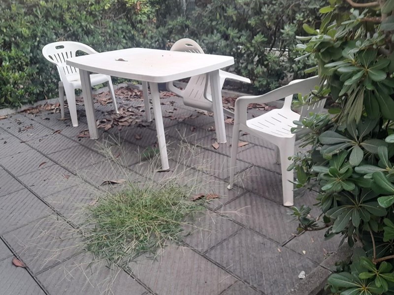 Villetta a schiera in Vendita a Massa, zona Marina di Massa, 199'000&euro;, 70 m², arredato