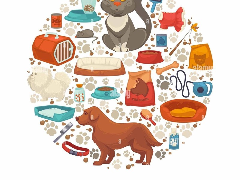 Attività commerciale in Vendita a Pisa, 59'000€, 160 m²