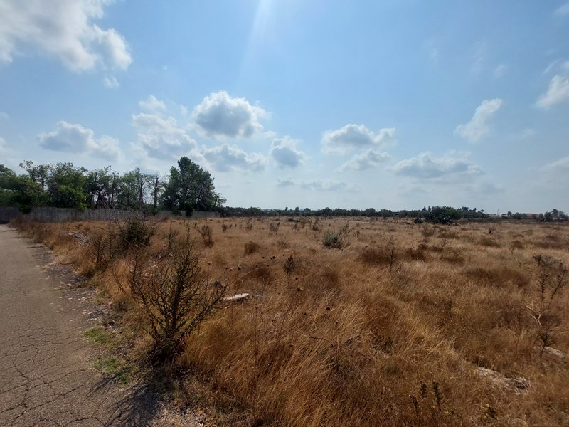 Terreno agricolo in Vendita a Scorrano, 6'000€