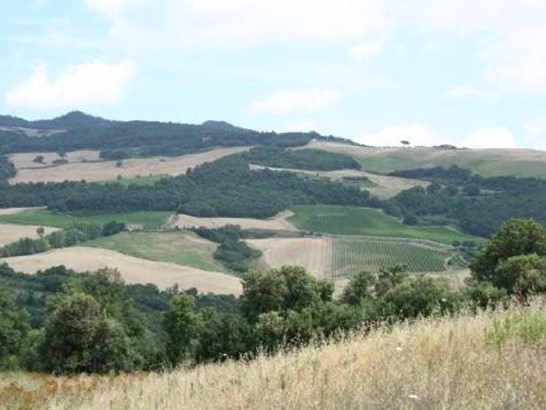 Attività commerciale in Vendita a Volterra, 6'500'000€, 3700000 m²