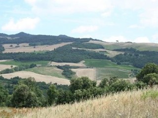Attività commerciale in Vendita a Volterra, 6'500'000€, 3700000 m²