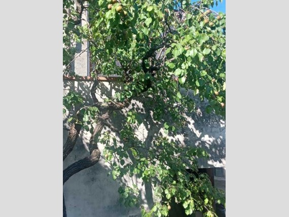 Casa Indipendente in Vendita a Lucca, zona san leonardo in treponzio, 430'000€, 220 m², con Box