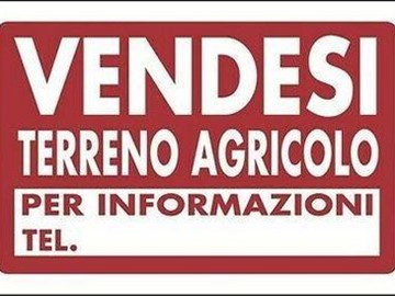 Terreno agricolo in Vendita a Cascina, zona Navacchio, 15'000€, 7000 m²