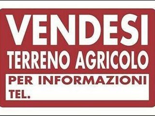 Terreno agricolo in Vendita a Cascina, zona Navacchio, 15'000€, 7000 m²