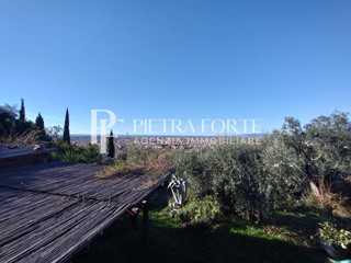 Terreno agricolo in Vendita a Pietrasanta, zona Vallecchia, 110'000€, 3000 m²