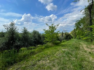 Terreno agricolo in Vendita a San Miniato, 48'000€, 25756 m²