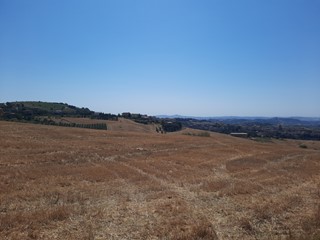 Terreno agricolo in Vendita a Offida, 120'000€, 68000 m²