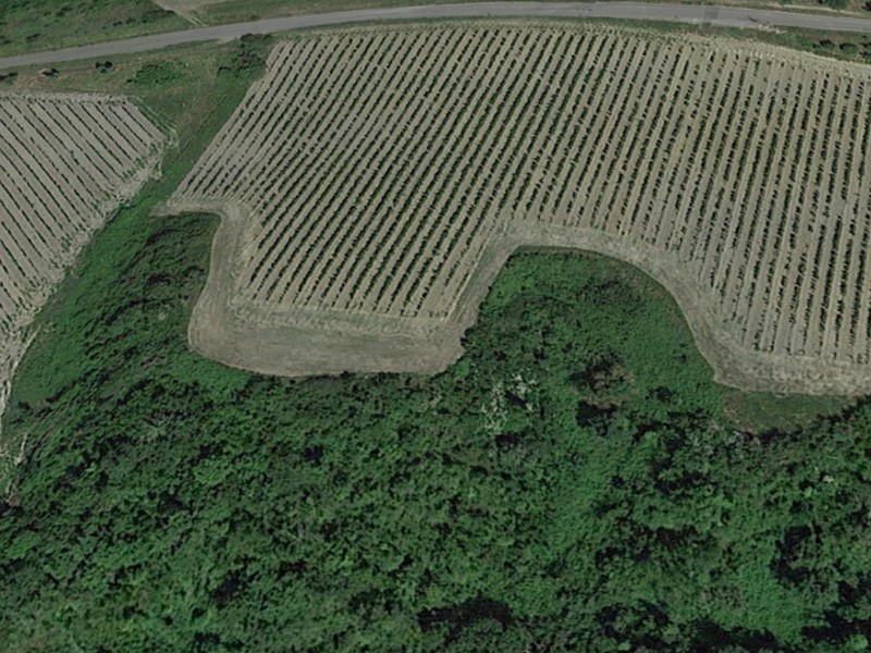 Terreno agricolo in Vendita a San Miniato, 480'000€, 80000 m²