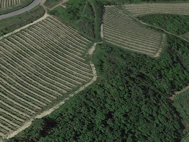 Attività commerciale in Vendita a San Miniato, 1'680'000€, 320000 m²