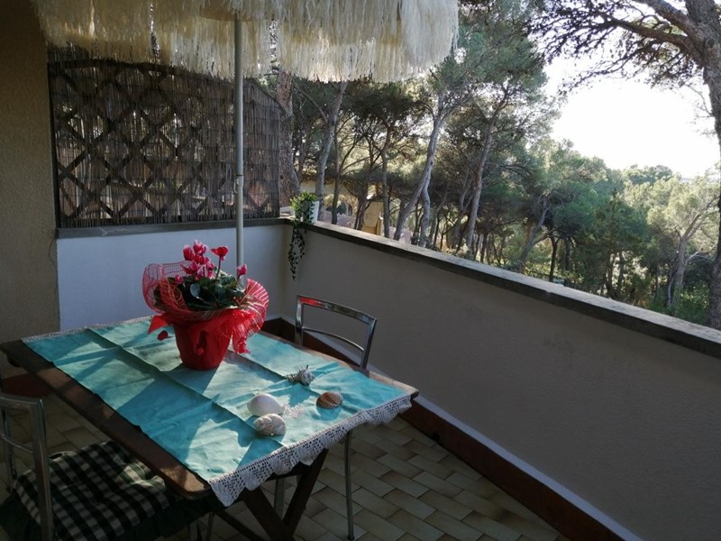Bilocale in Vendita a Rosignano Marittimo, zona Castiglioncello, 130'000€, 50 m², arredato