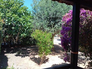 Casa Indipendente in Vendita a Olmedo, 160'000€, 130 m², arredato