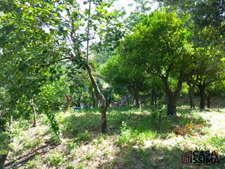 Terreno agricolo in Vendita a Nocera Inferiore, 60'000€, 5400 m²