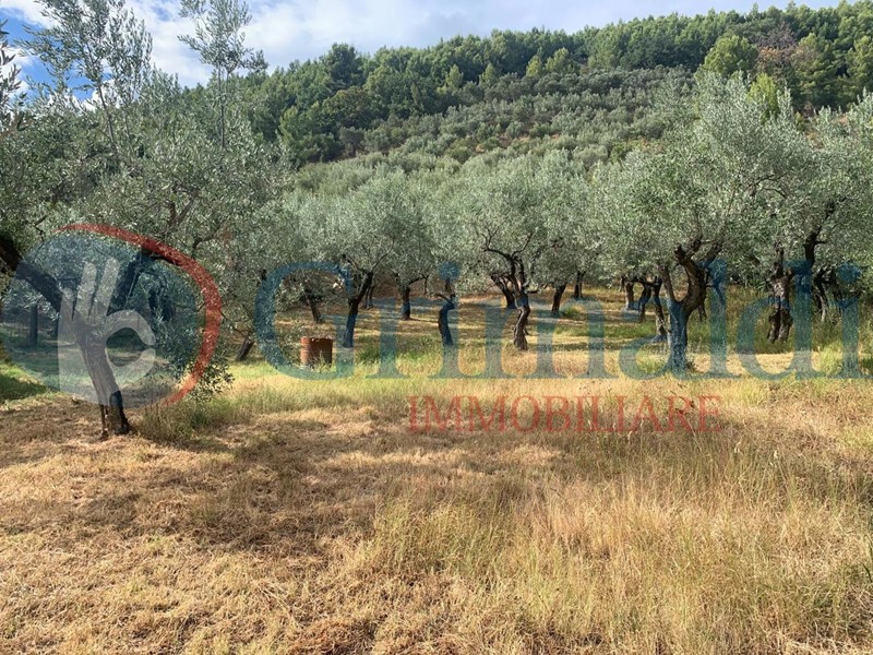 Terreno edificabile in Vendita a Foligno, 55'000€, 1500 m²