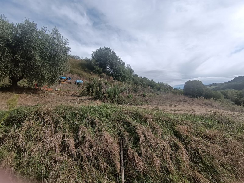 Casa Indipendente in Vendita a Tavoleto, 125'000€, 200 m², con Box