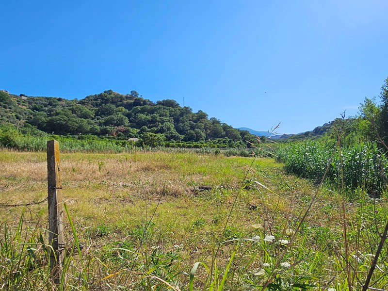 Terreno agricolo in Vendita a Soverato, 60'000€, 12000 m²