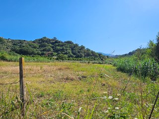 Terreno agricolo in Vendita a Soverato, 60'000€, 12000 m²