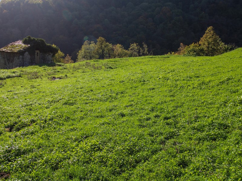 Terreno agricolo in Vendita a Cerano d'Intelvi, 138'000€, 28000 m²