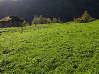 Terreno agricolo in Vendita a Cerano d'Intelvi, 138'000€, 28000 m²