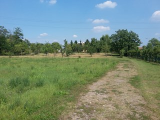 Terreno agricolo in Vendita a Rho, zona Via Pregnana, 55'000€, 16.000