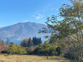 Terreno industriale in Vendita a Tremezzina, 800'000€, 16000 m²