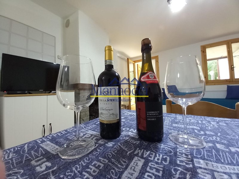 Monolocale in Affitto a Pievepelago, 490&euro;, 30 m², arredato