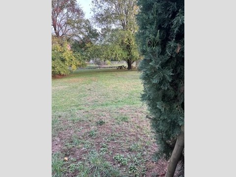 Terreno agricolo in Vendita a Fosdinovo, 28'000€, 1300 m²