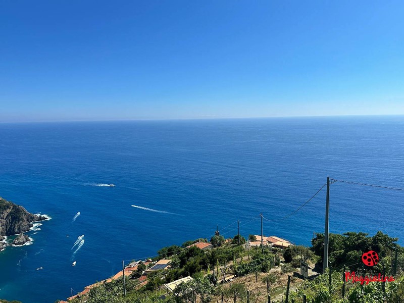 Casa Semi Indipendente in Vendita a La Spezia, 180'000&euro;, 50 m²