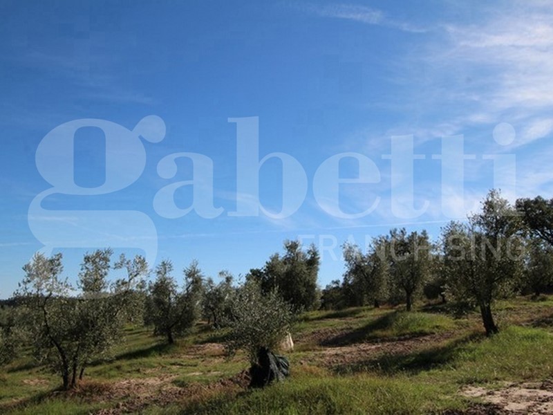 Casa Indipendente in Vendita a Roccastrada, 430'000€, 300 m²