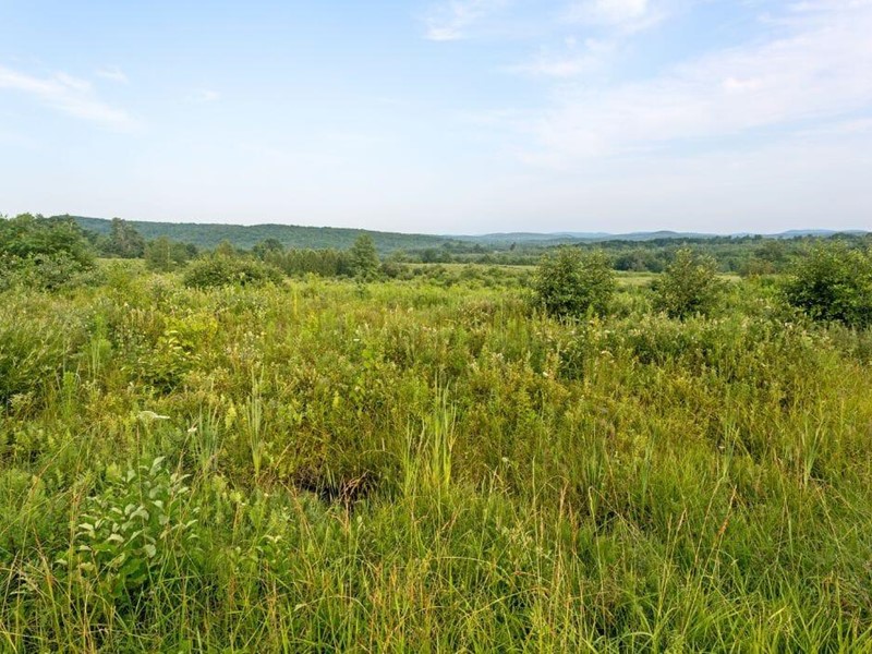 Terreno industriale in Vendita a Larciano, 180'000€, 7000 m²