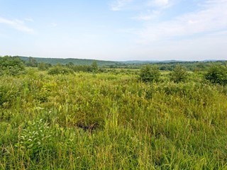 Terreno industriale in Vendita a Larciano, 180'000€, 7000 m²