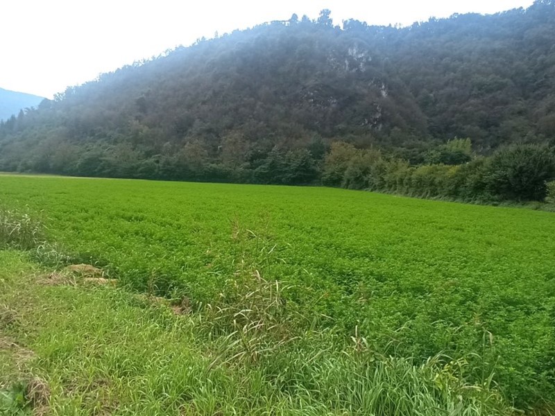 Terreno industriale in Vendita a Sabbio Chiese, 930'000€, 13196 m²