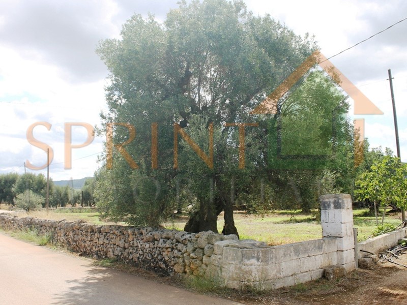 Casa Indipendente in Vendita a Monopoli, 170'000€, 133 m², con Box